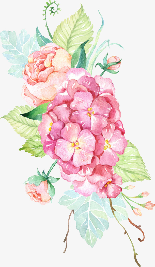 春天花手绘红花绿叶免抠装饰植物元素