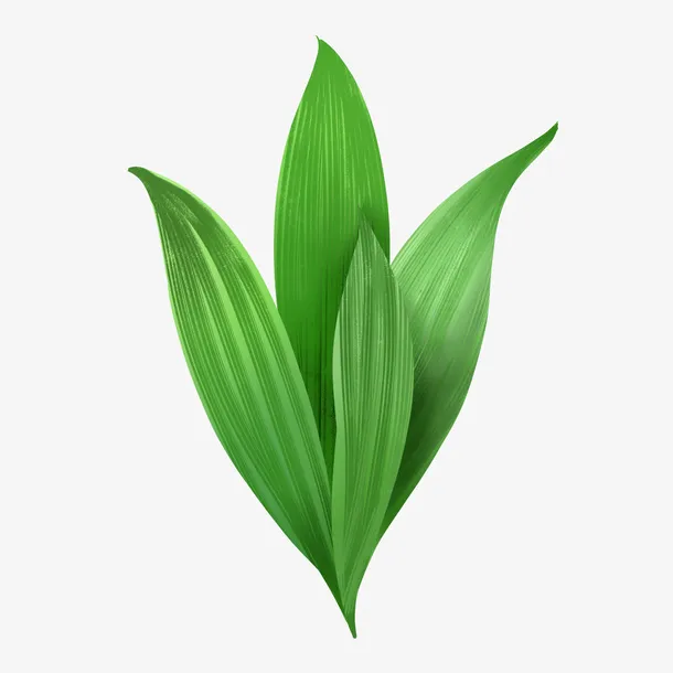 绿色大叶植物春天绿植免抠动植物植物元素