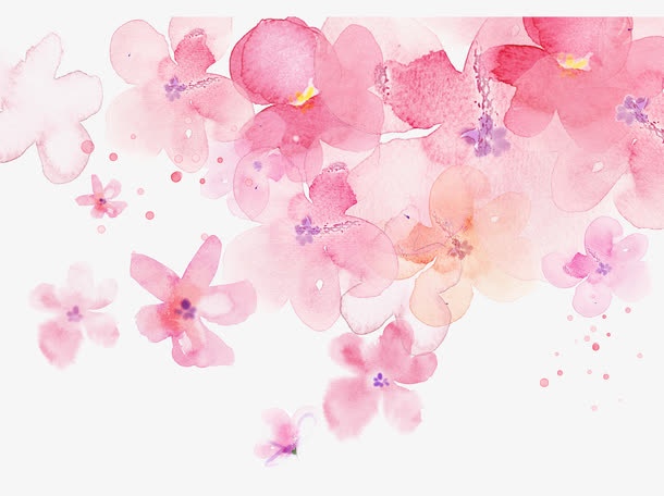 花式背景透明装饰素材 菜鸟图库