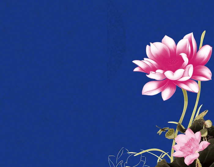 中国风停在莲花上的蜻蜓蓝色背景素材高清