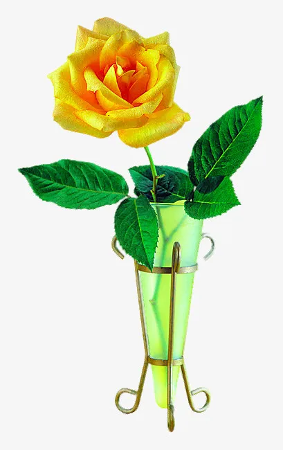 绿色花瓶中的黄牡丹免抠