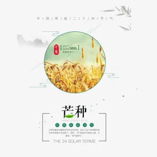 二十四节气芒种免抠