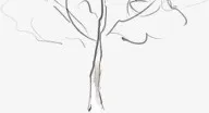 创意树枝卡通绘画免抠