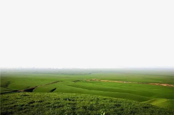 草原底边背景 菜鸟图库