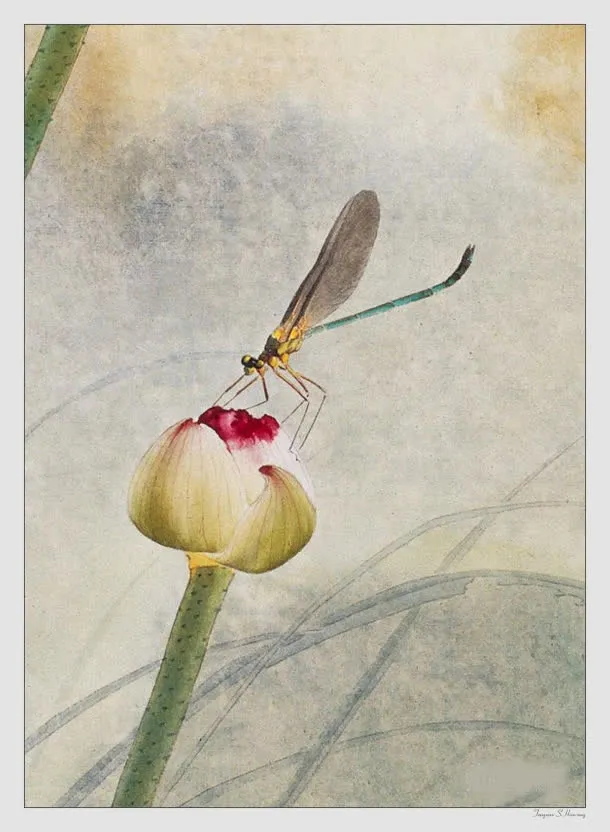 中国名家花朵蜻蜓画休免抠