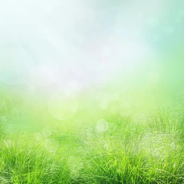 绿色草地背景免抠背景底纹元素