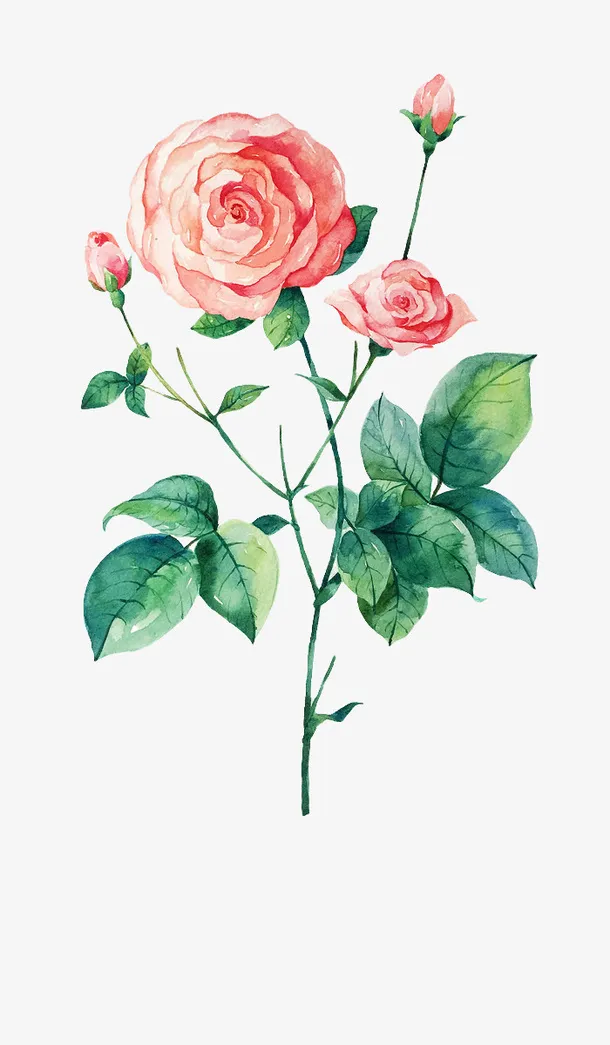 情人节爱心玫瑰素材水彩免抠