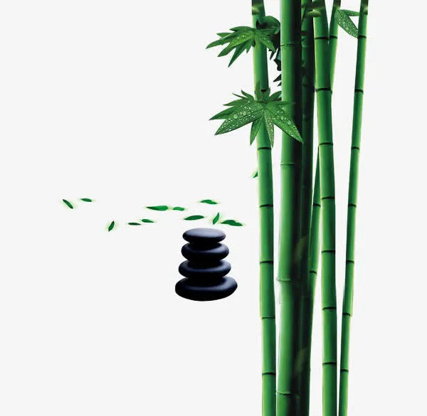 竹子图标手绘竹子 清新竹子免抠