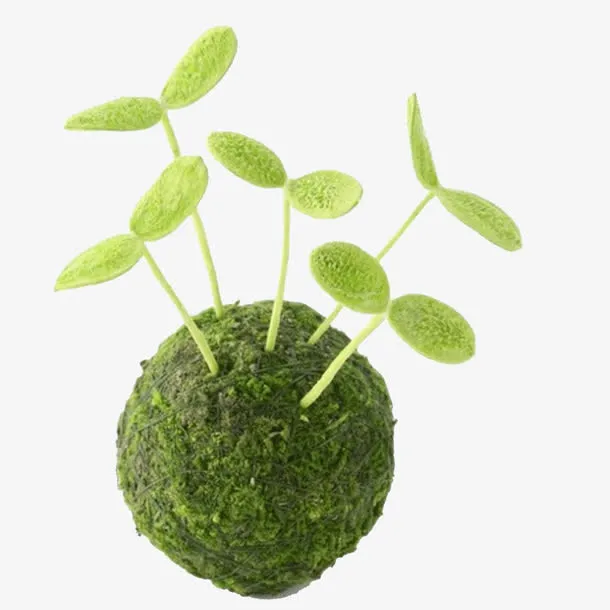 绿色草球多颗嫩芽环保素材免抠