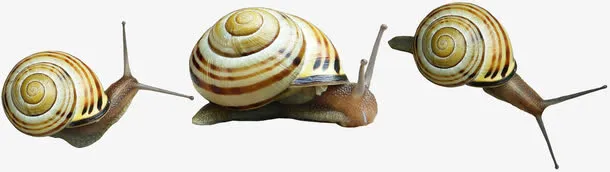 动物卡通动物图片 蜗牛免抠