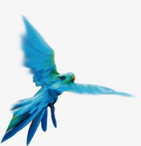 蓝色唯美小鸟飞翔免抠