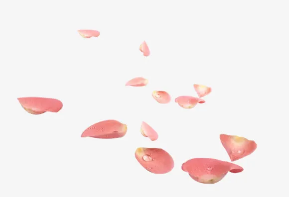 粉色花瓣有水滴的花瓣免抠