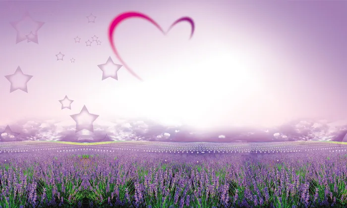 紫色薰衣草爱心背景图高清