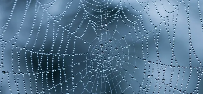 蜘蛛网水滴海报素材高清