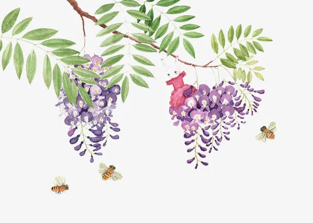 紫藤花与蜜蜂图片素材免抠