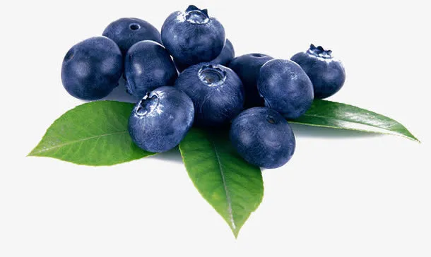 黑紫色蓝莓果实免抠