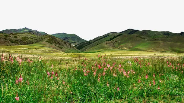 新疆赛里木湖风景免抠