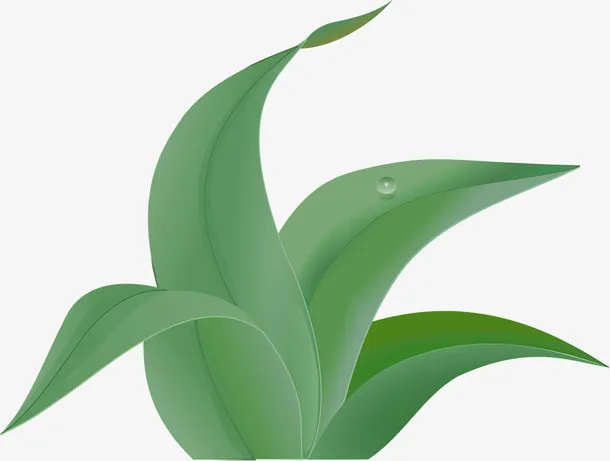 一株四片绿叶的植物免抠动植物植物元素