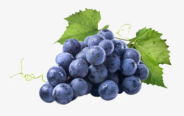 新鲜的紫色葡萄水果免抠
