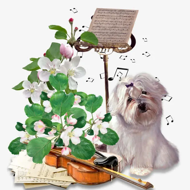 白色小狗音乐鲜花免抠