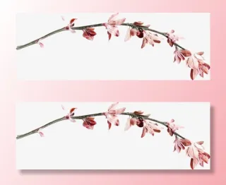 花枝花草桃花花朵免抠