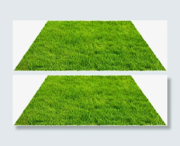 绿色草坪免抠
