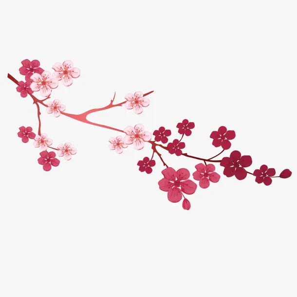 粉色梅花节日元素免抠