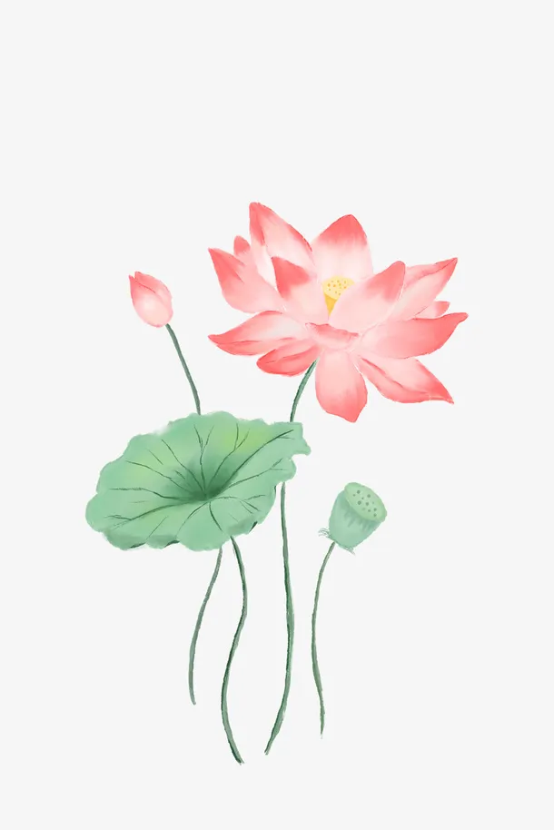 夏季荷花手绘卡通元素图免抠