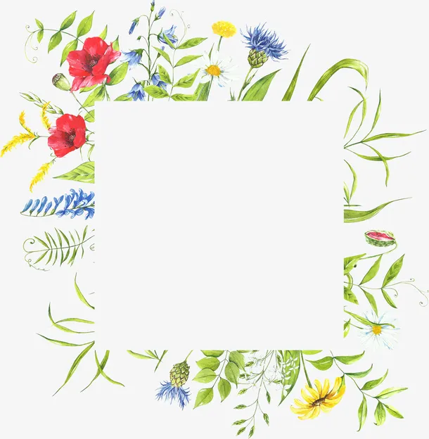 花朵绿叶边框手绘植物手绘边框免抠