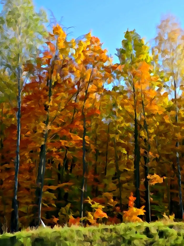马赛克的秋天森林背景图高清