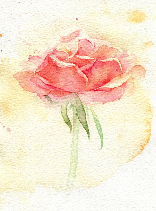 水彩粉花绿叶壁纸免抠 菜鸟图库 水彩粉花绿叶壁纸免抠 菜鸟图库