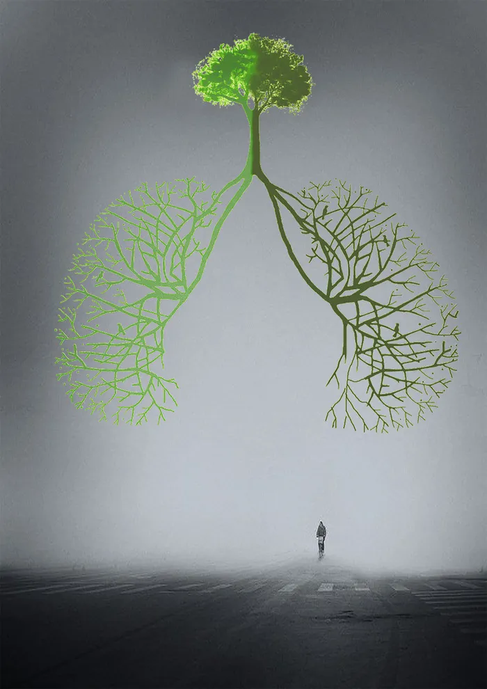 绿色树枝肺部形状雾霾海报背景素材高清