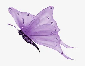 紫色蝴蝶免抠