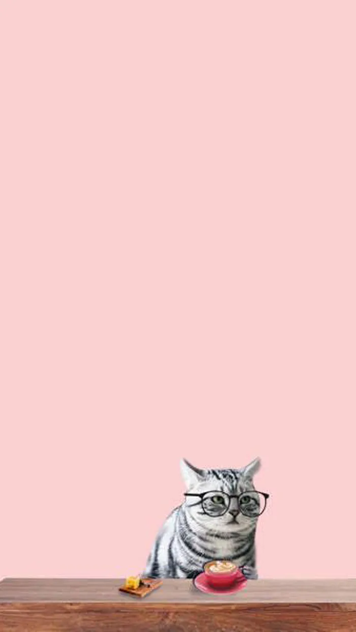 手绘猫咪背景高清 菜鸟图库
