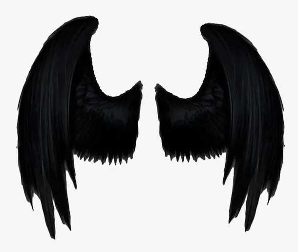 黑色的翅膀素材免抠