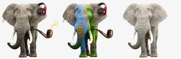 听音乐大象图片素材免抠