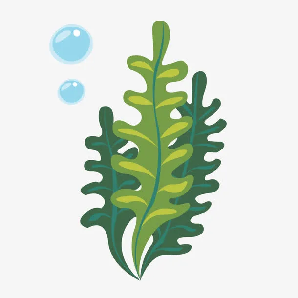 绿色海草泡泡植物免抠