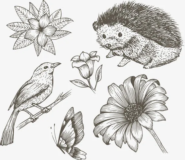 矢量手绘素描动物和植物免抠