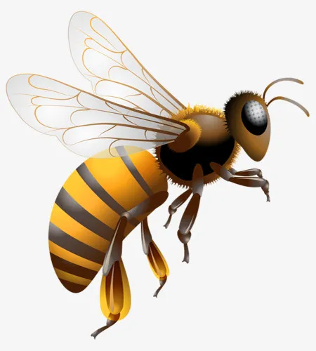 可爱黄色小蜜蜂免抠