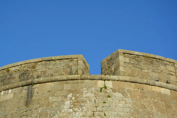 壁龛、城堡、圣马洛、布列塔尼、壁垒、法国、建筑、历史