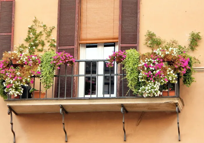 浪漫、立面、阳台、花卉装饰、花卉、窗户、植物、建筑外部