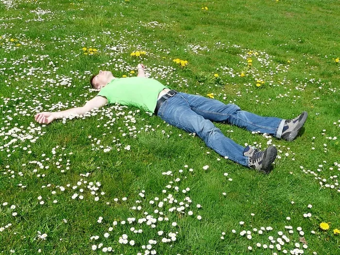 男人，躺着，张开双臂，草地，鲜花，休息，放松