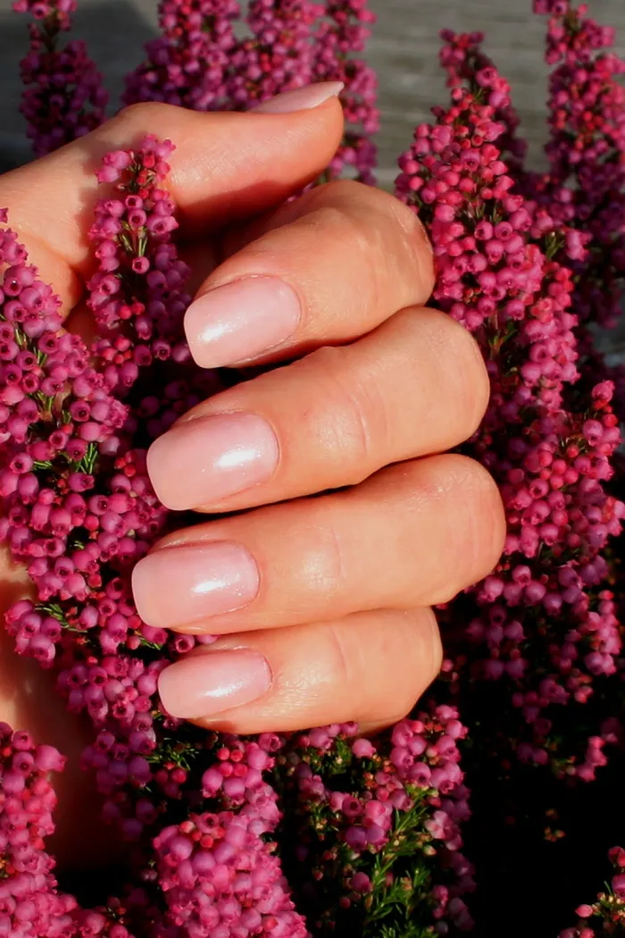 指甲，婴儿潮一代，修指甲，指甲设计，指甲油，花，开花植物，粉红色