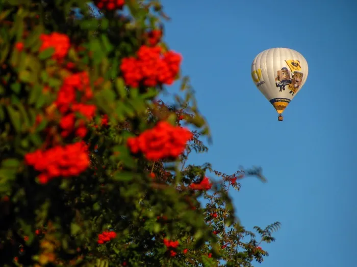 气球，热空气，飞行，漂浮，乐趣，娱乐，飞行，上升