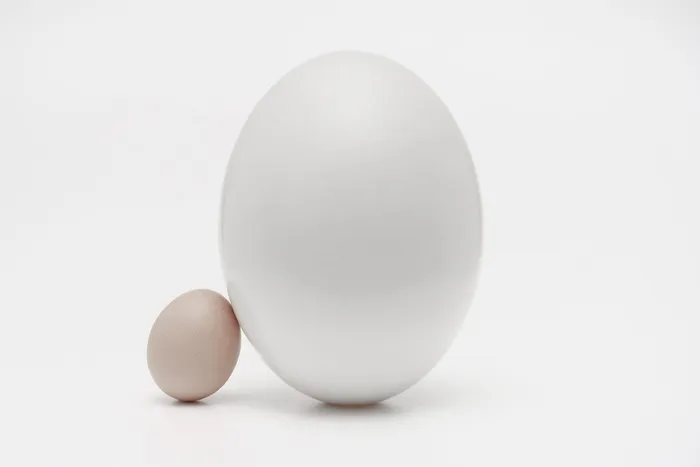 两个白鸡蛋, 鸡蛋, 食品, 复活节彩蛋, 药物治疗, 丸, 椭圆形, 白