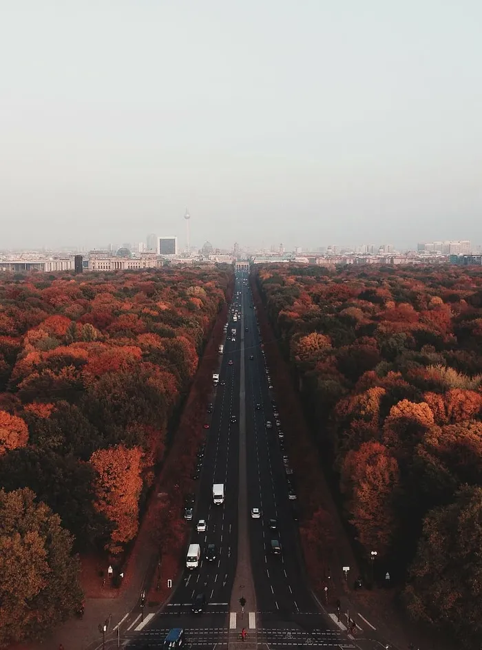 秋天，柏林，城市，秋天，雾蒙蒙的，灰色的天空，天际线，街道