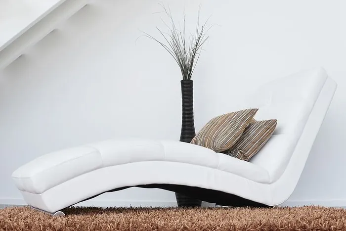 白色，真皮躺椅沙发，顶部，棕色，区域地毯，沙发，沙发，家具