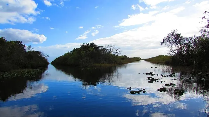 大沼泽地，迈阿密，风景，天空，沼泽，水，倒影，云天