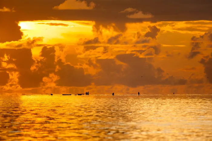 景观、朝阳、浅海、渔民、网捕鱼、热带、威迪群岛、哈尔马赫拉群岛