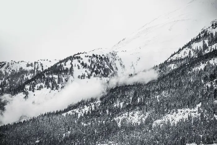 灰度照片，雪，封顶，山，雪崩，照片，树，灰色